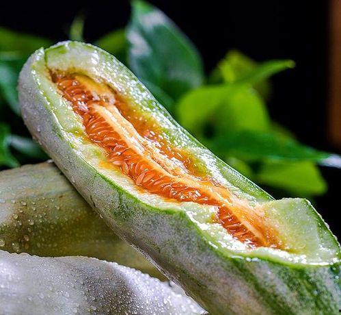 吃大瓜的网红叫什么