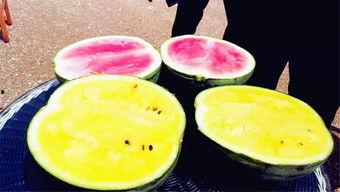 网红网爆吃瓜,揭秘娱乐圈幕后真相